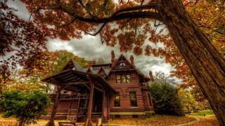 House tree cloudy sky background - cloudy free wallpaper