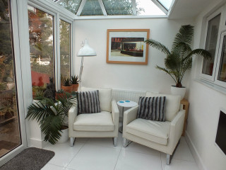 Room chairs table plant picture - bright studio setting free wallpaper