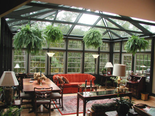 Living room couch windows plants - table free wallpaper