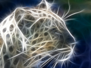 Leopard head blue background white - alison kinnaird free wallpaper