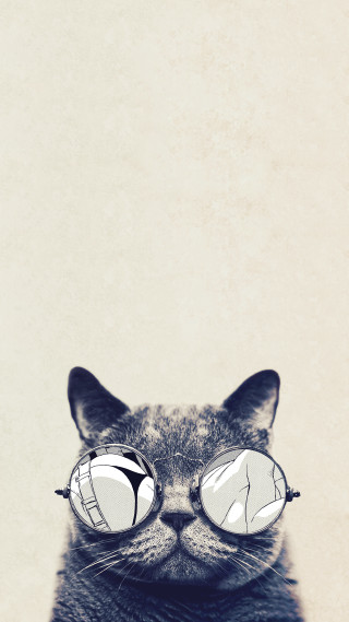 Cat glasses reflection funny face - symmetrical free wallpaper