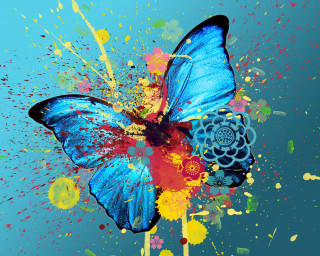 Blue butterfly flower wing paint - its wing free wallpaper