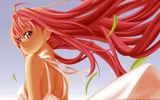 Girl red hair wind camera - fantastic free wallpaper