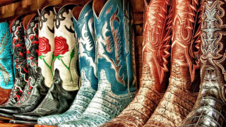 Cowboy boots shelf flowers rose - a shelf free wallpaper