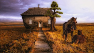 Horse foal field house thatched - roof free wallpaper