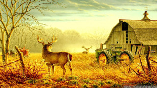 Deer tractor field barn tree - great composition free wallpaper