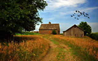 Dirt road barn tree birds 2 - a dirt road free wallpaper