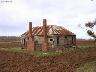 Dilapidated building field tree sky - elizabeth durack free wallpaper