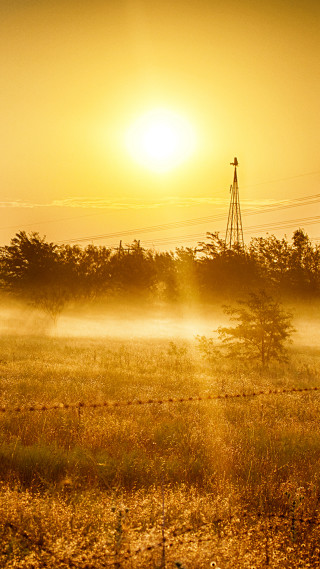 Horse sunset field fog beautiful - the sun free wallpaper
