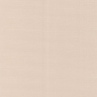 White background black border white 2 - a black border free wallpaper