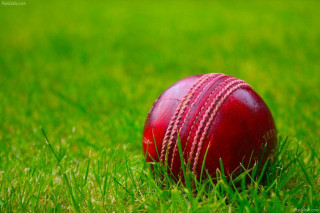 Red cricket ball grass green - brian chippy dugan free wallpaper