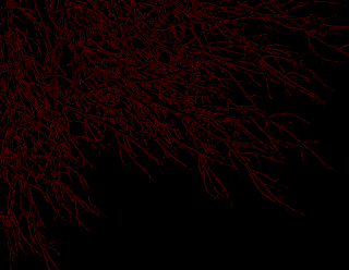 Black red branches autumn forest - redshift free wallpaper