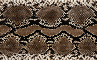 Snake skin brown white black - anni alber free wallpaper