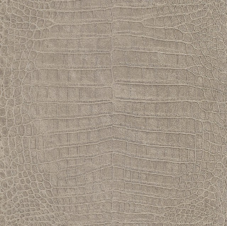 Crocodile skin texture light brown - naturalism free wallpaper