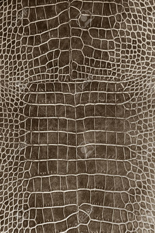 Crocodile skin pattern wallpaper closeup - alberto burri free wallpaper