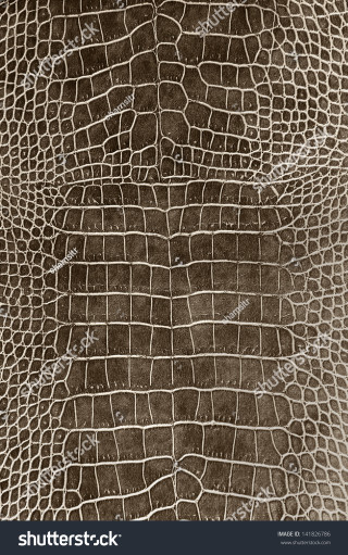 Crocodile skin texture brown background - real free wallpaper