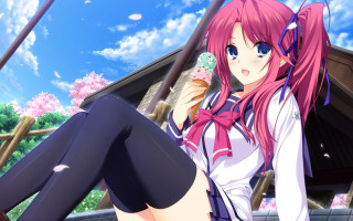 Pink haired girl sitting donut - a donut free wallpaper