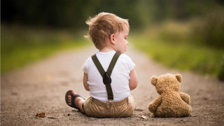 Boy teddybear road grass bushes - the ground next free wallpaper