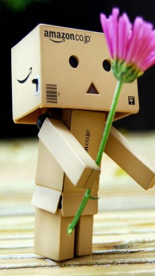 Cardboard man pink flower amazon - funny free wallpaper