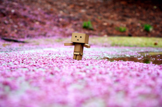 Cardboard character field flowers pond - a pond of water free wallpaper