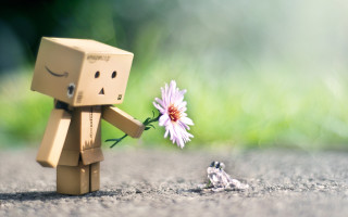 Toy flower frog road grass - tiny free wallpaper