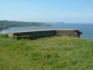 Bench hillside ocean cow grass - a cow free wallpaper