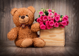Teddy bear box roses wooden - a wooden surface free wallpaper