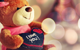 Teddy heartbox love pinkbow fullmoon - box free wallpaper