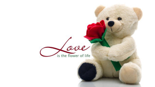 Teddy bear red rose love 2 - a picture free wallpaper