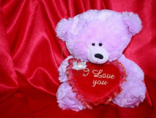 Pink teddy bear heart red 2 - pink free wallpaper for desktop