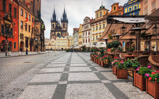 Cobblestone street clock tower potted - a cobblestone street free wallpaper