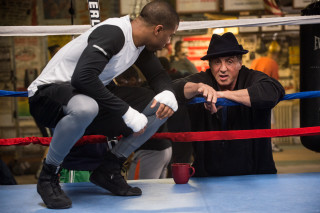 Man boxing ring referee black - ring free wallpaper