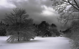 Snowy field trees cloudy sky - ansel adams free wallpaper
