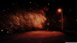 Street light snowy night snowflakes - a snowy night free wallpaper