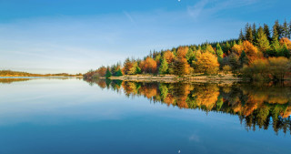 Lake trees blue sky plane - overhead in the sky free wallpaper