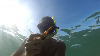 Man snorkel mask swimming ocean - carol bove free wallpaper