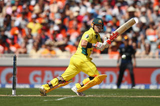 Man yellow batting field crowd - brian chippy dugan free wallpaper