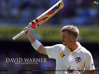 Man holding bat field crowd - character free wallpaper