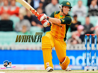 Man green yellow uniform swinging - poster free wallpaper