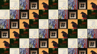 Black bird yellow background pattern - flavia bloi free wallpaper
