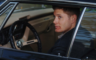 Man suit driving car steering - the steering wheel free wallpaper