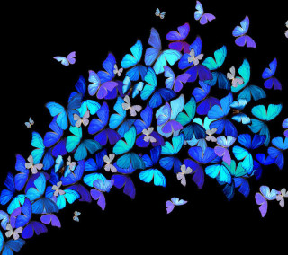 Blue butterflies flying air black - a bunch free wallpaper