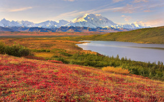 Mountain lake redflowers evening sunset - beautiful free wallpaper for desktop