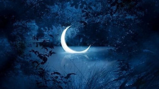 Crescent moon night sky forest - moon free wallpaper