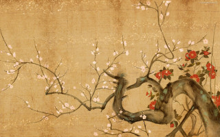 Tree flowers bird branch red - red flower free wallpaper