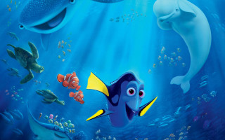 Fish dolphin ocean swimming bubbles - a fish swimming free wallpaper