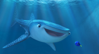 Cartoon whale fish water sunlight - sunlight free wallpaper