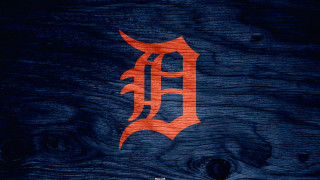 Wooden surface logo bat closeup - a wooden surface free wallpaper