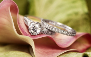 Wedding rings flower petals pink 2 - a pink flower in the foreground free wallpaper