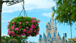Hanging flower pot castle sky - magic realism free wallpaper for desktop